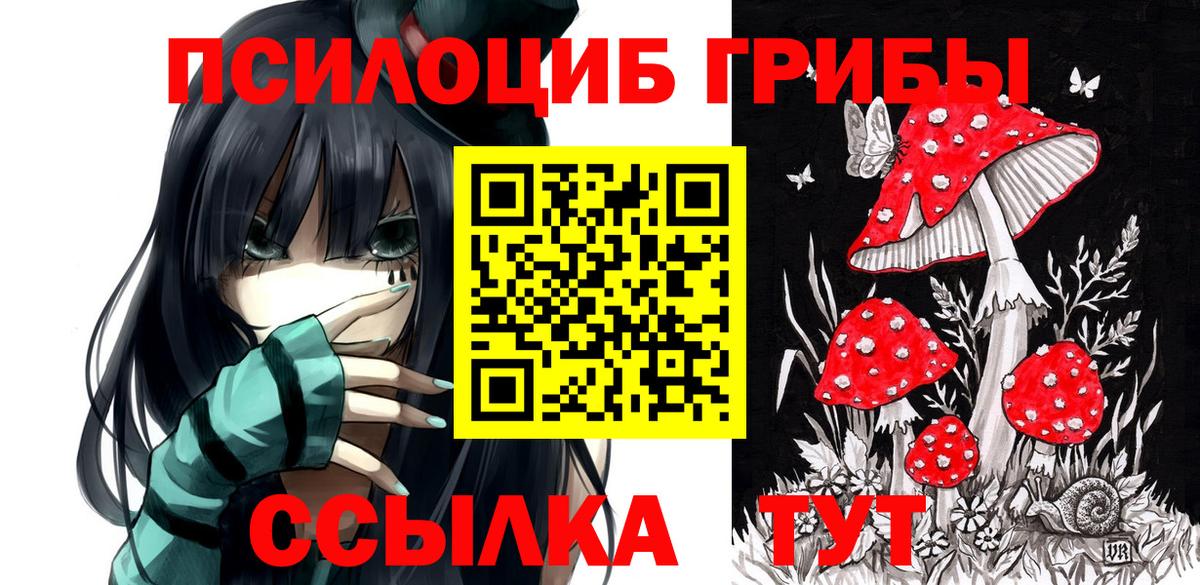 Галлюциногенные грибы Magic Shrooms  Галлюциногенные грибы мицелий  Иваново  Вход с VPN 