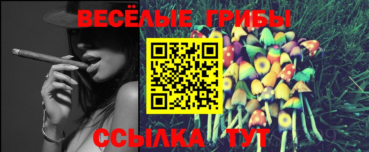 Псилоцибиновые грибы ЛСД Иваново